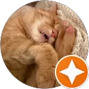 D. V. profile picture